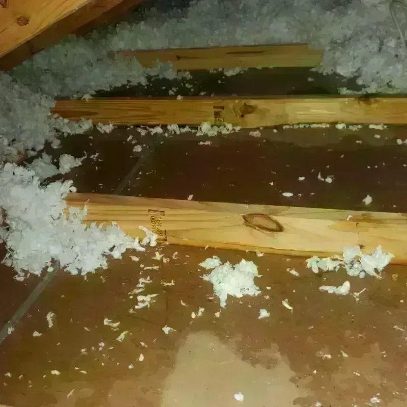 Attic Water Damage in Woodford County, KY